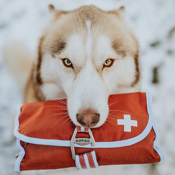 Kurgo Pet First Aid Kit 50 pcs. Kurgo Pet First Aid Kit 50 pcs.